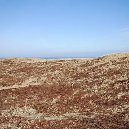 Thisted * Torsted (Nordjylland)